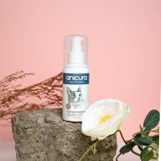 Anicura Cat Gel Ointment for Dry, Irritated Skin Anicura Natural Pet