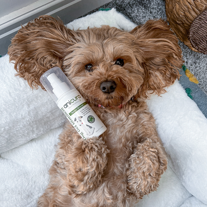 Dog sales acne cream