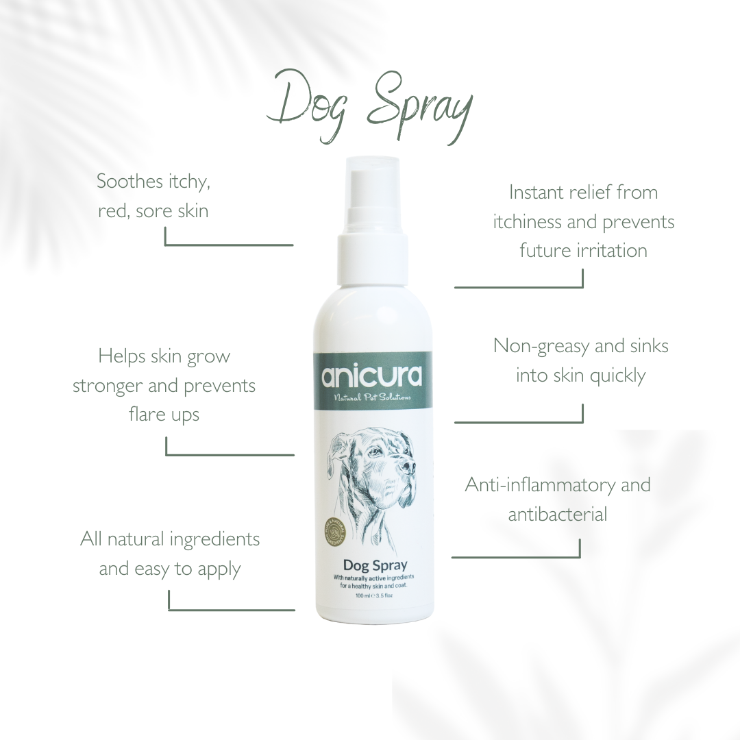 Spray for sales dogs itchy skin