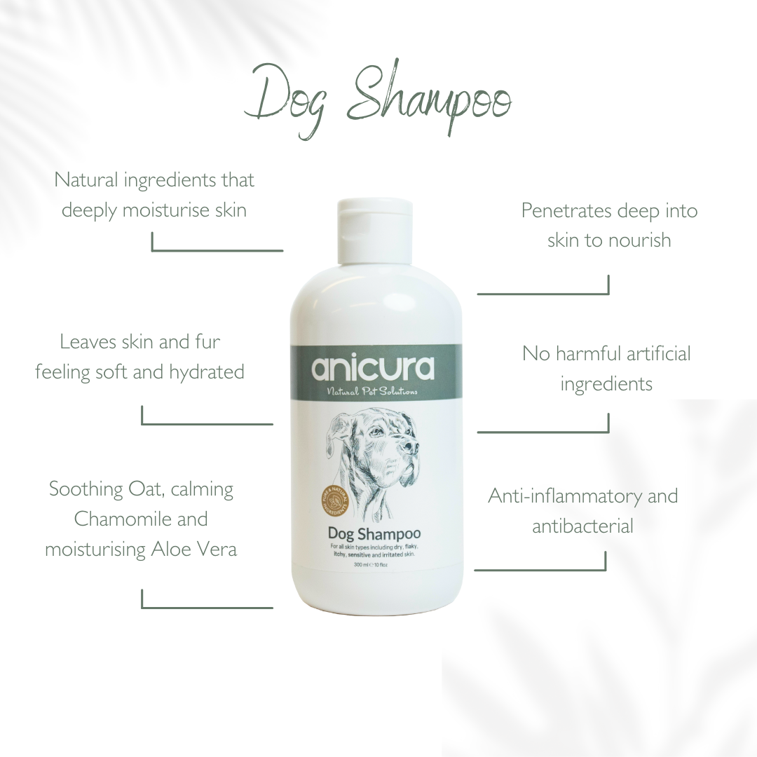 Eczema shampoo for dogs hot sale