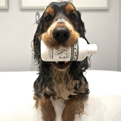 Dog shampoo and conditioner for dry skin deals