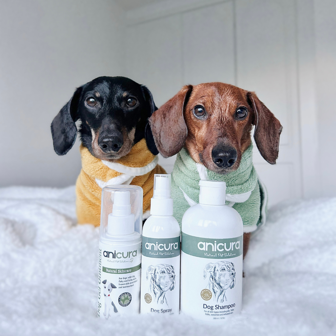 Anicura Dog Problem Skin Rescue Bundle Anicura Natural Pet Solutions