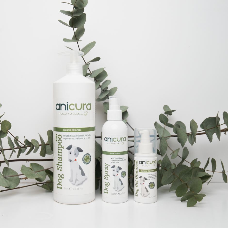 Dog Products Anicura Natural Pet Solutions